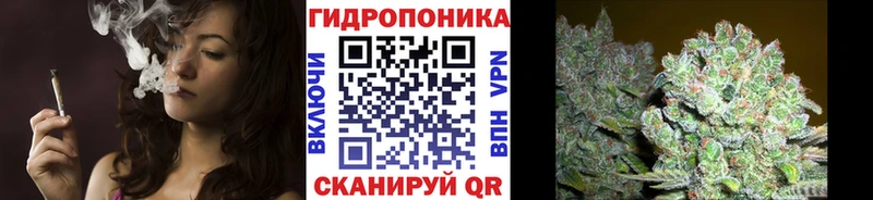 Шишки марихуана планчик  закладка  МЕГА tor  Лянтор 